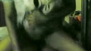 লাল চুলওয়ালা ইংলিশ সেক্স ভিডিও ইংলিশ সেক্স ভিডিও জন্তু একজন মানুষ রোলার্স মধ্যে তার বিদ্ধ সৃষ্ট হয়েছে